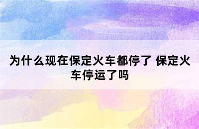 为什么现在保定火车都停了 保定火车停运了吗